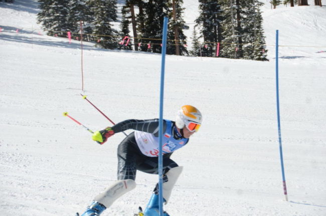 ae74257979_wl800hp600